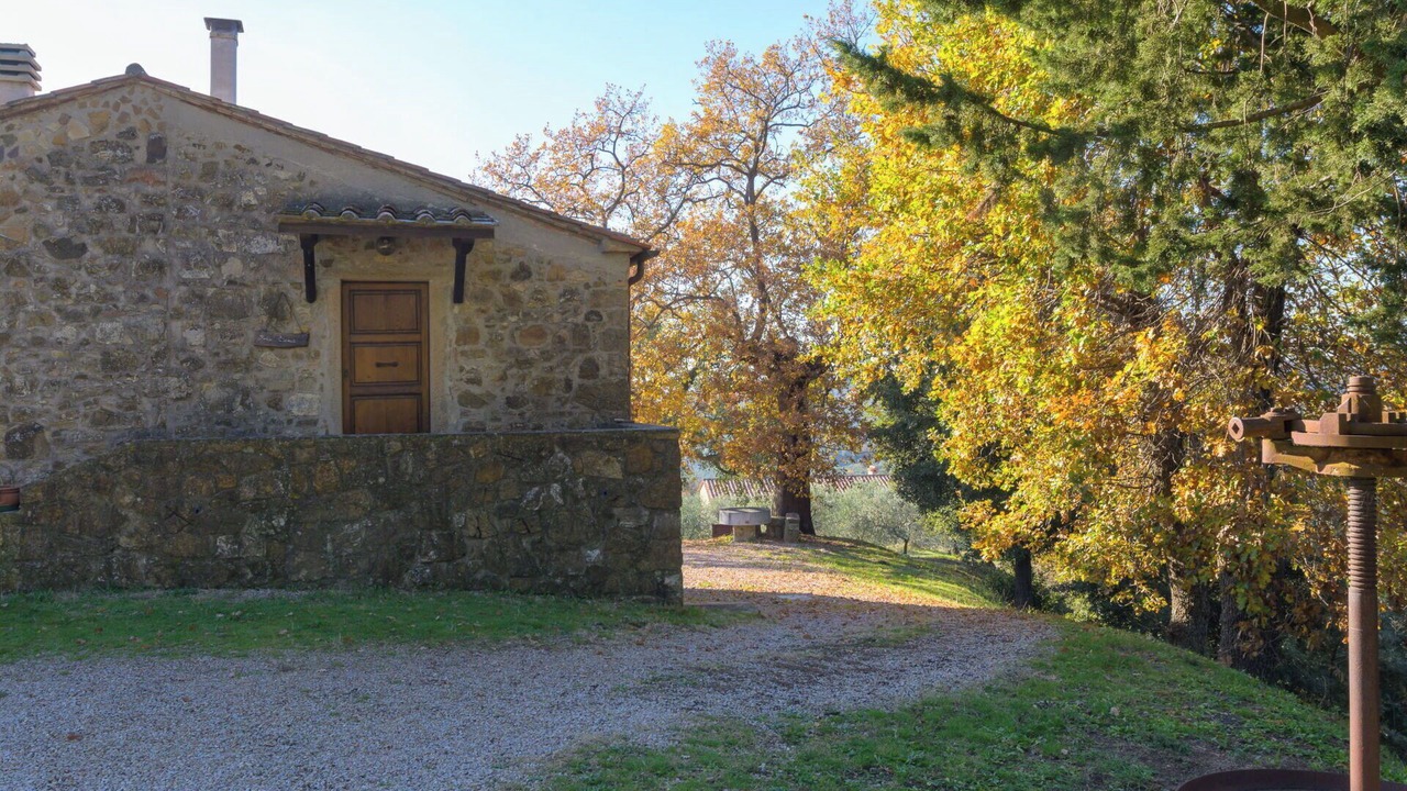 Photo of Others in Roccastrada