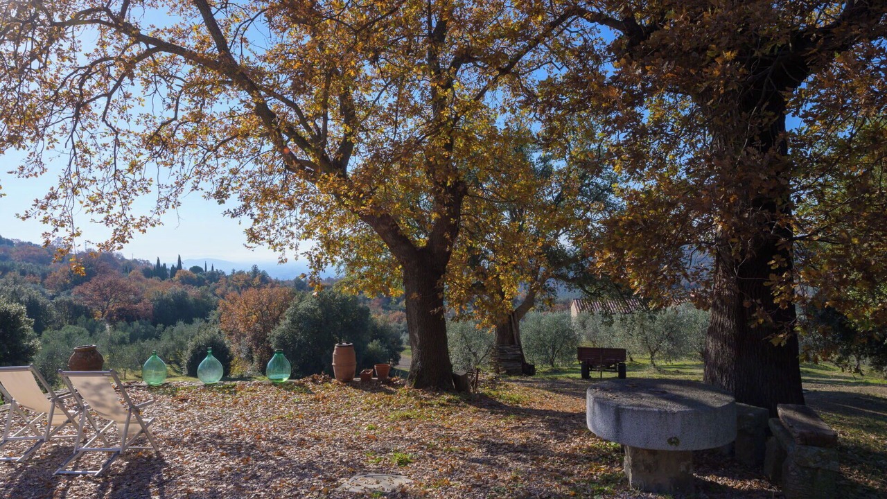 Photo of Others in Roccastrada