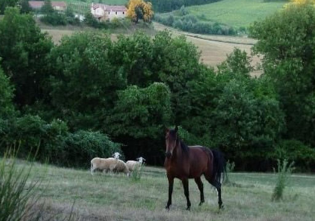 Photo of Others in Ramazzano