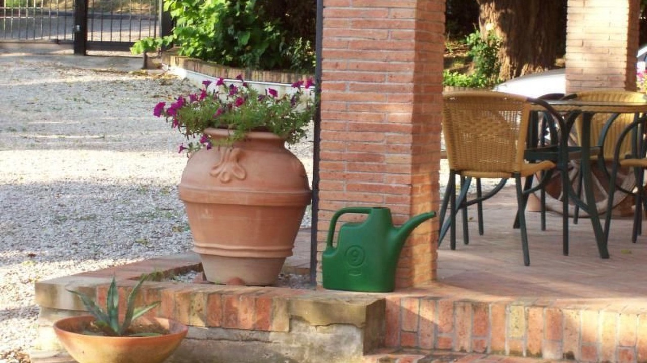 Photo of Others in Morro d'Alba
