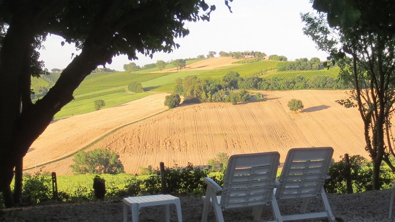 Photo of Outdoor in Morro d'Alba
