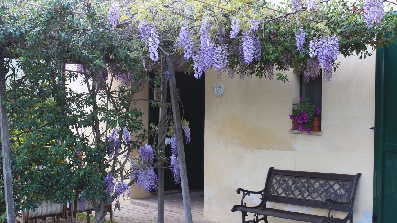 Photo of Others in Bevagna