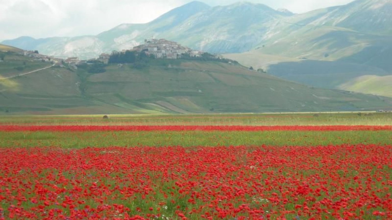 Photo of Others in Sant'Anatolia di Narco