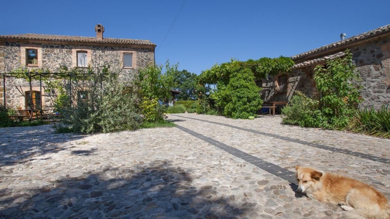Photo of Outdoor in Castel Giorgio