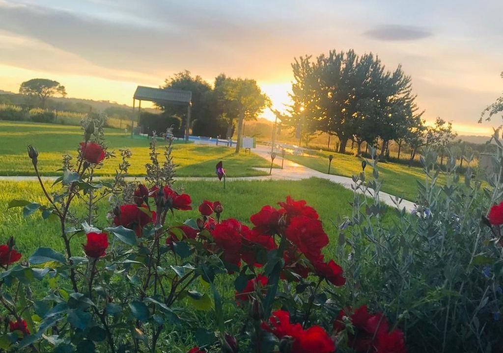 Photo of Outdoor in Torgiano