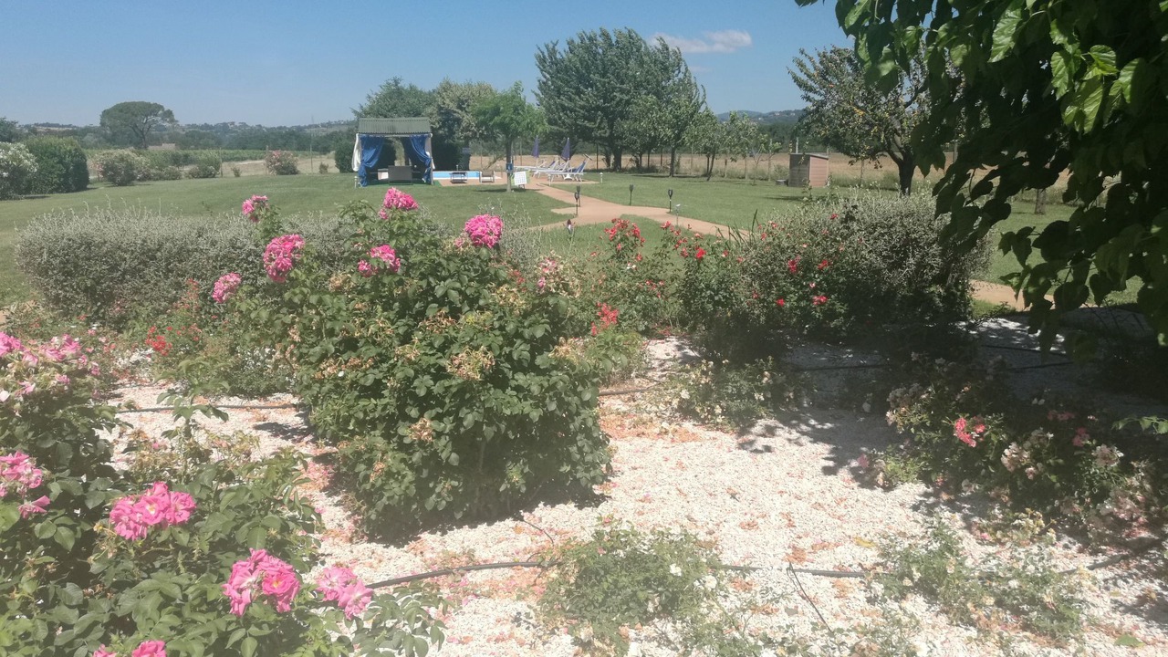 Photo of Others in Torgiano