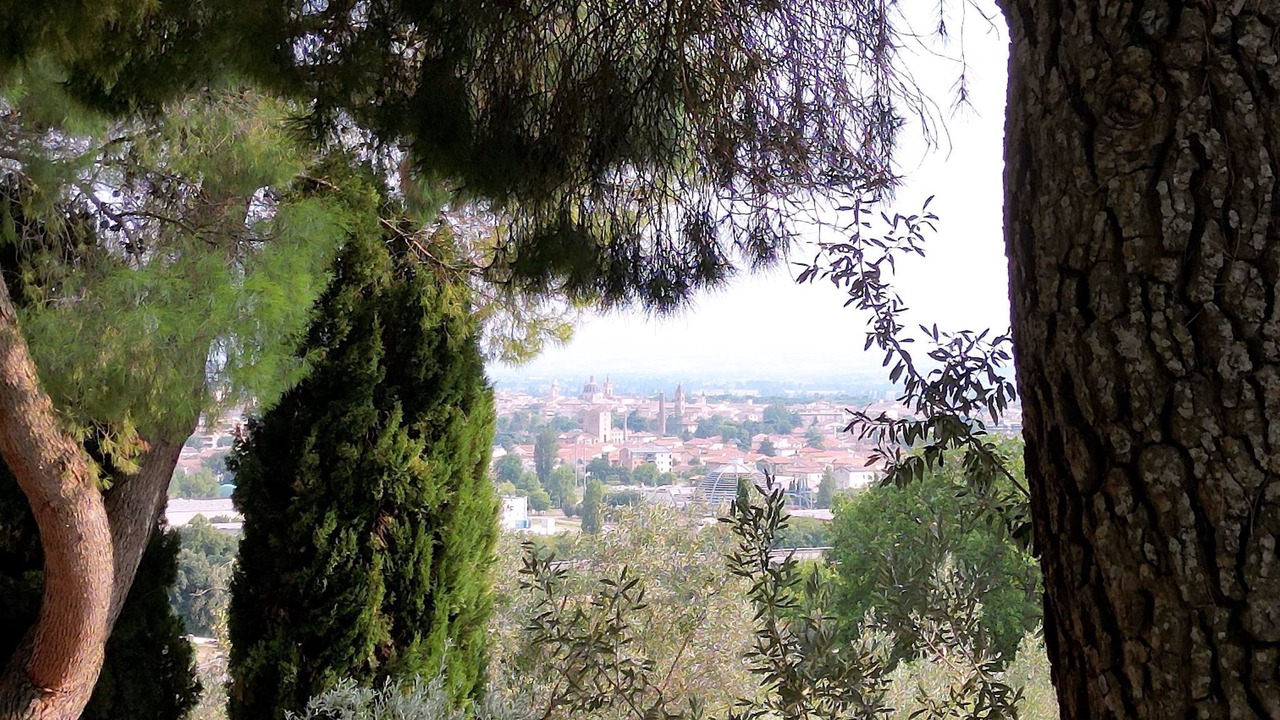 Photo of Others in Foligno