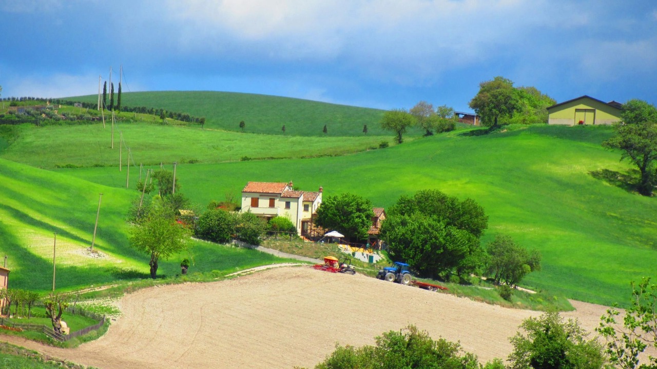 Photo of Others in Arcevia
