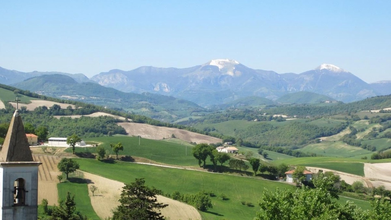 Photo of Others in Arcevia