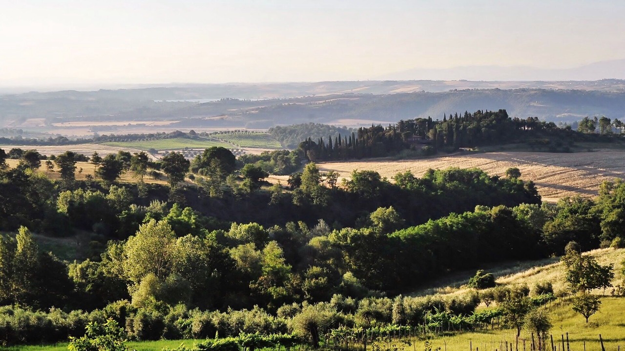 Photo of Others in Citta della Pieve
