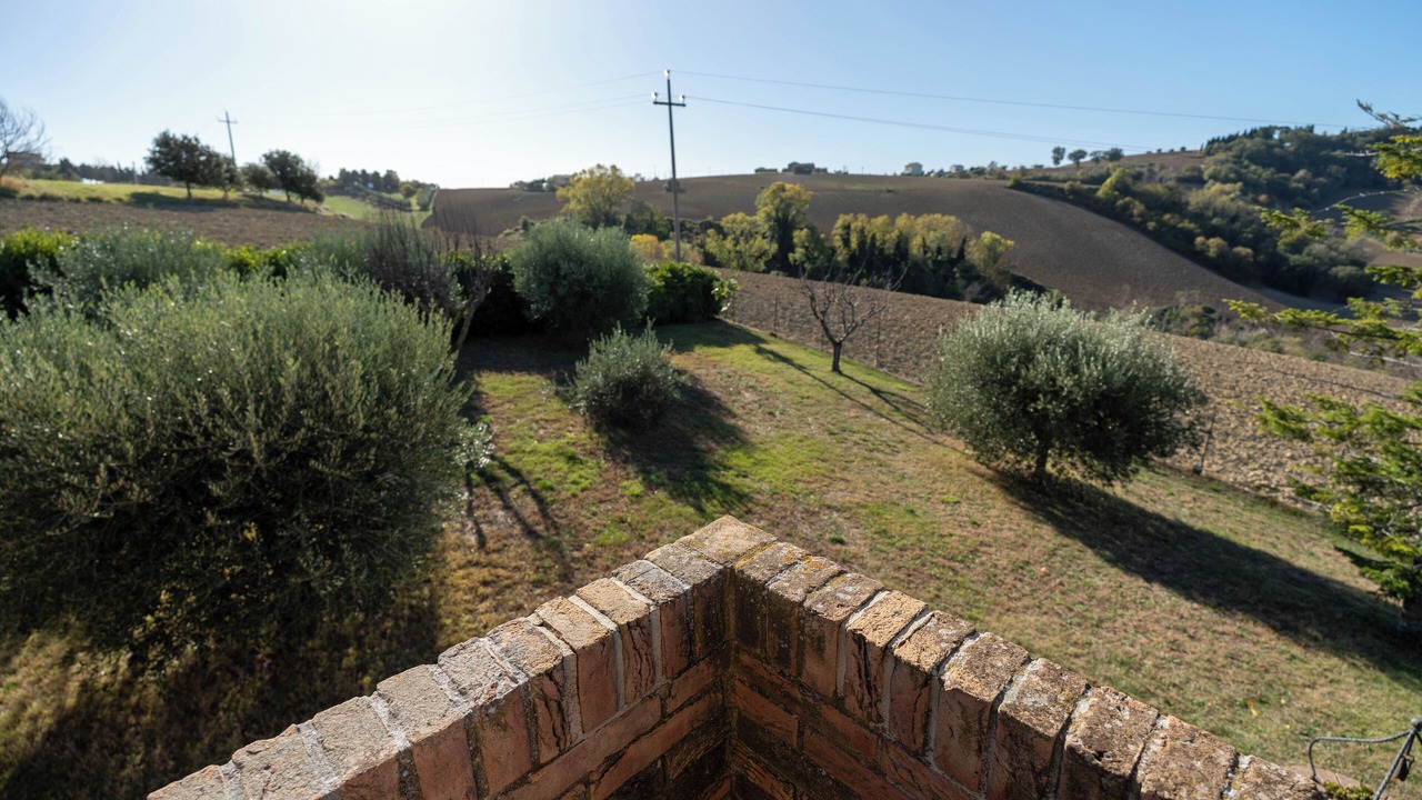 Photo of Outdoor in Torre San Patrizio