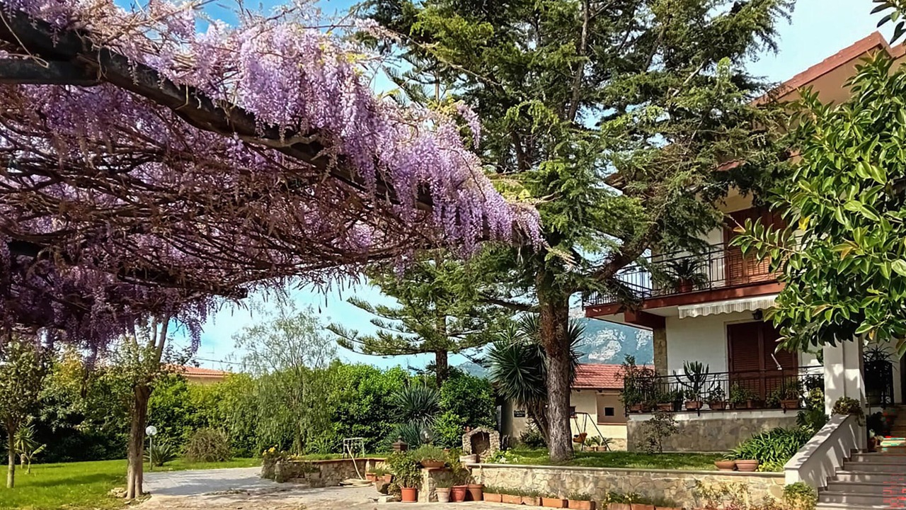 Photo of Others in Capaccio-Paestum