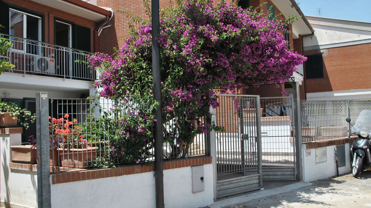 Photo of Others in Sperlonga