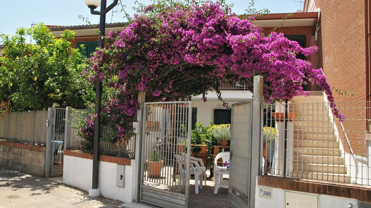 Photo of Others in Sperlonga