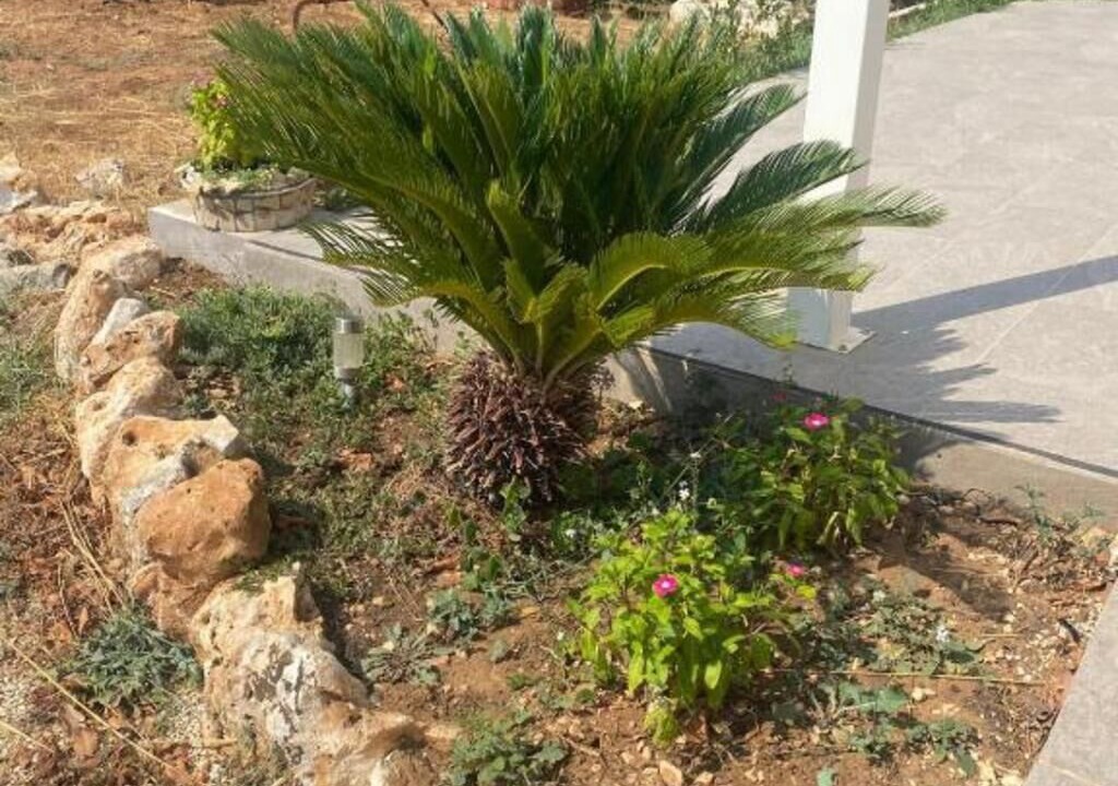 Photo of Outdoor in Acquaviva delle Fonti