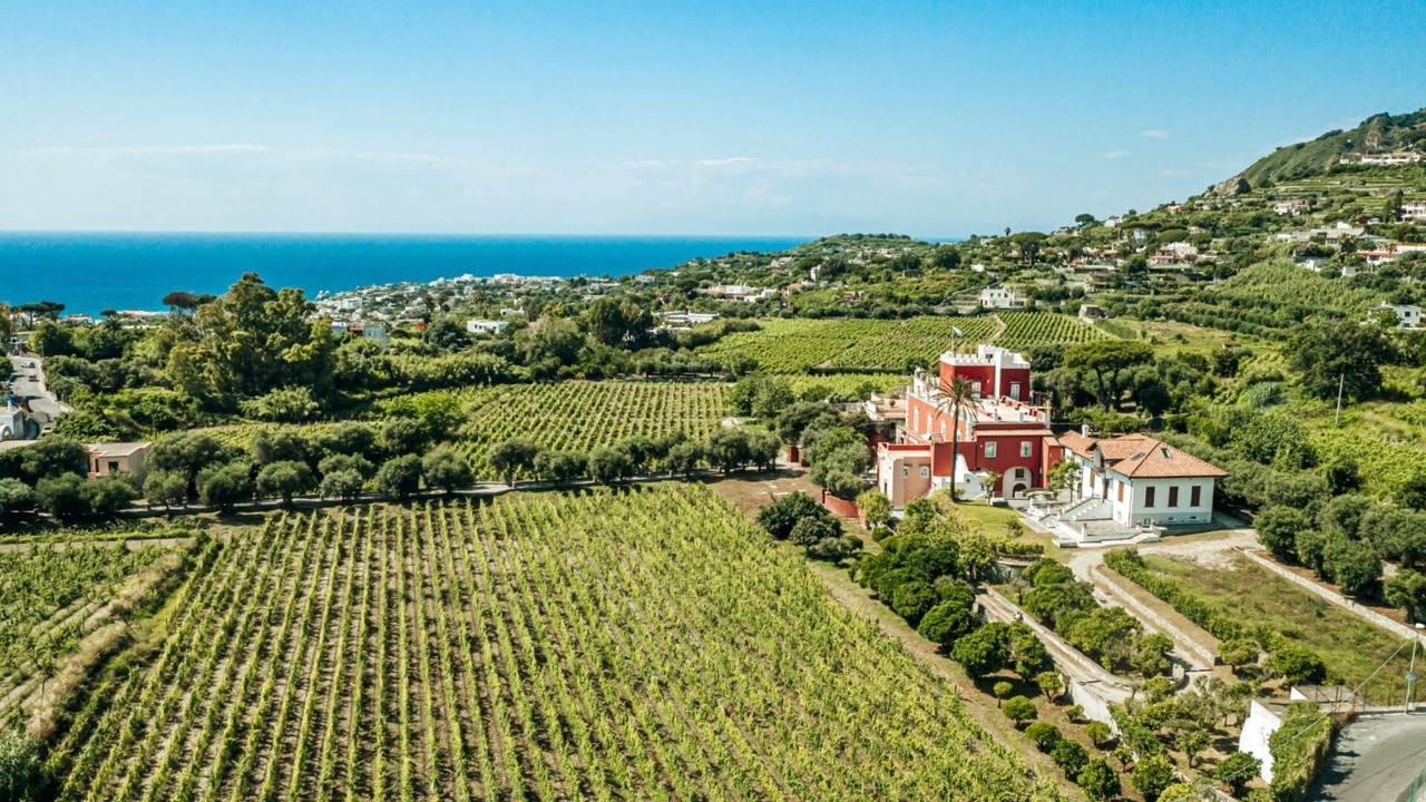 Photo of Outdoor in Panza
