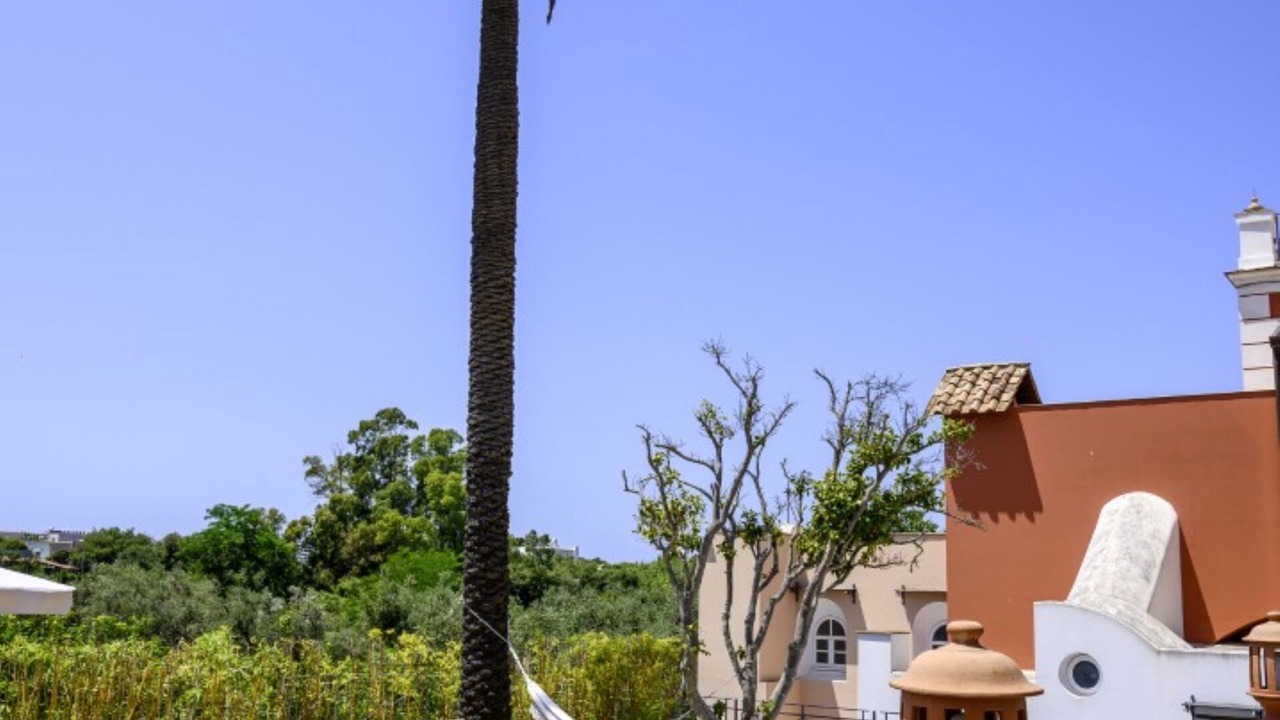 Photo of Patio Balcony in Panza
