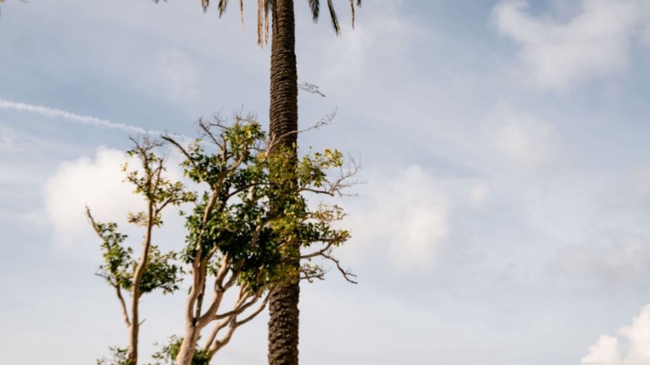 Photo of Outdoor in Panza