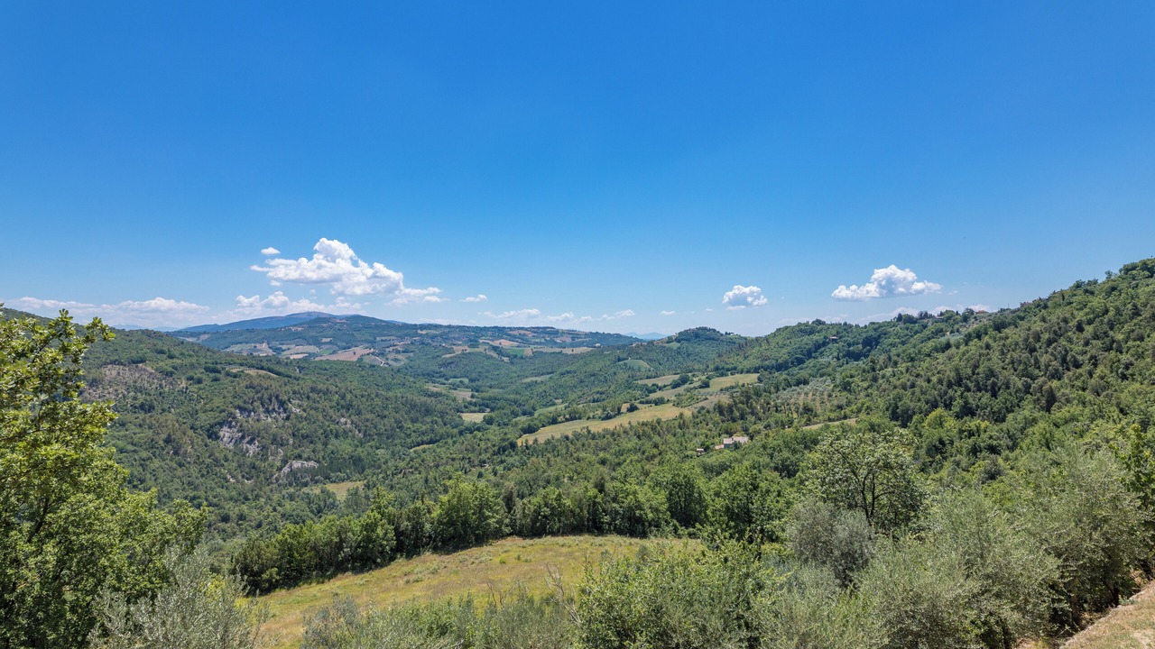 Photo of Others in Collazzone