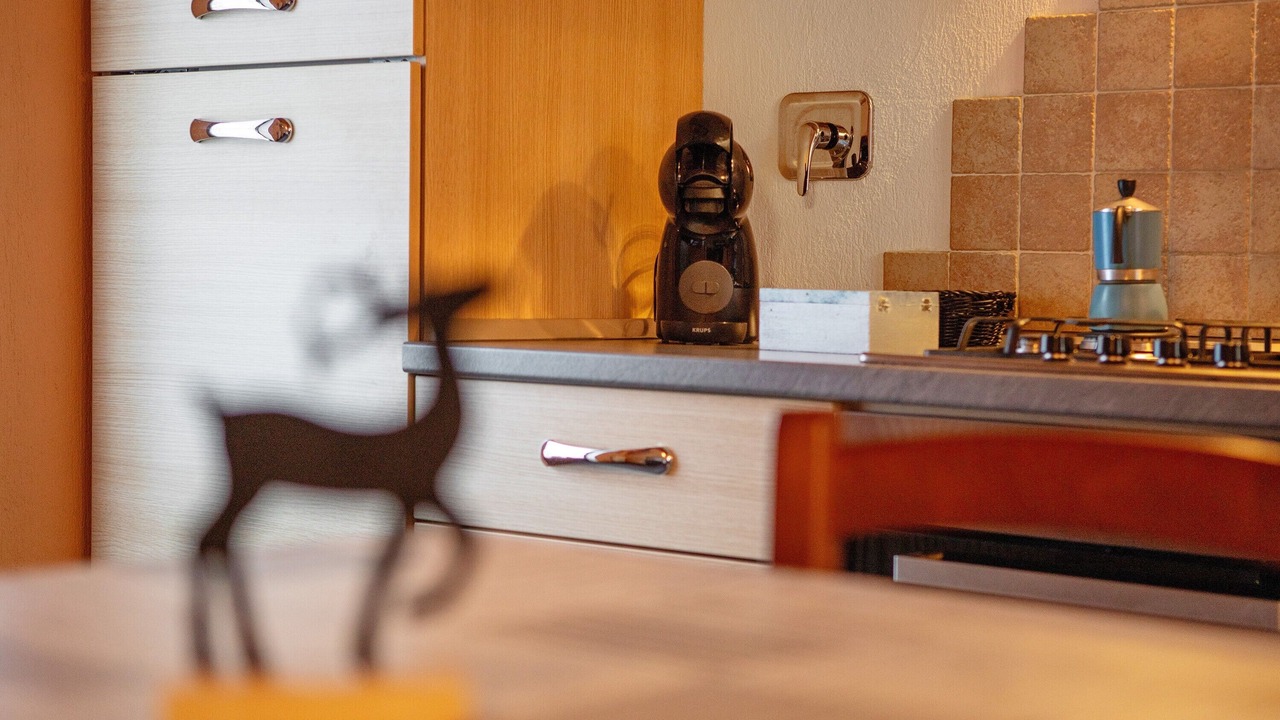 Photo of Kitchen in Bionaz