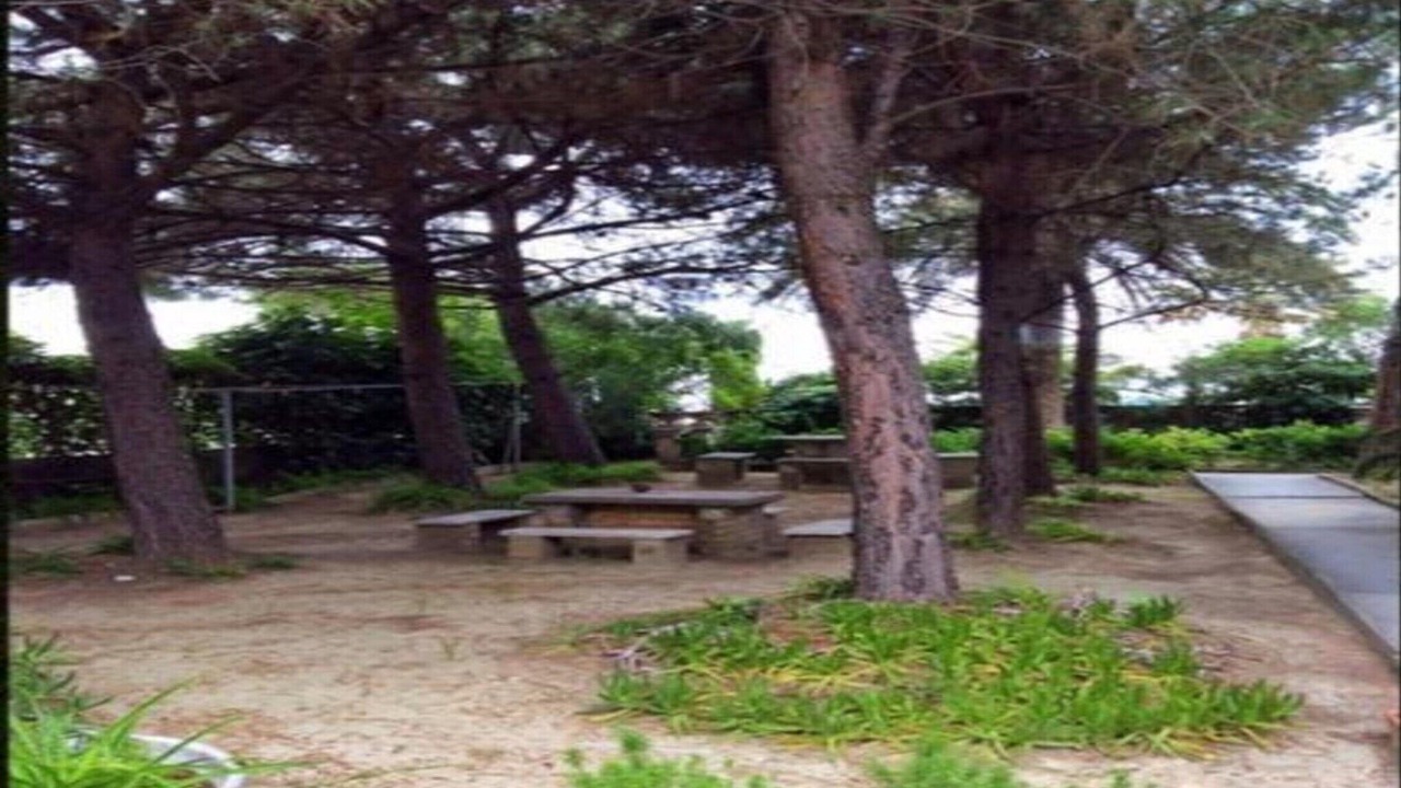 Photo of Others in Alba Adriatica