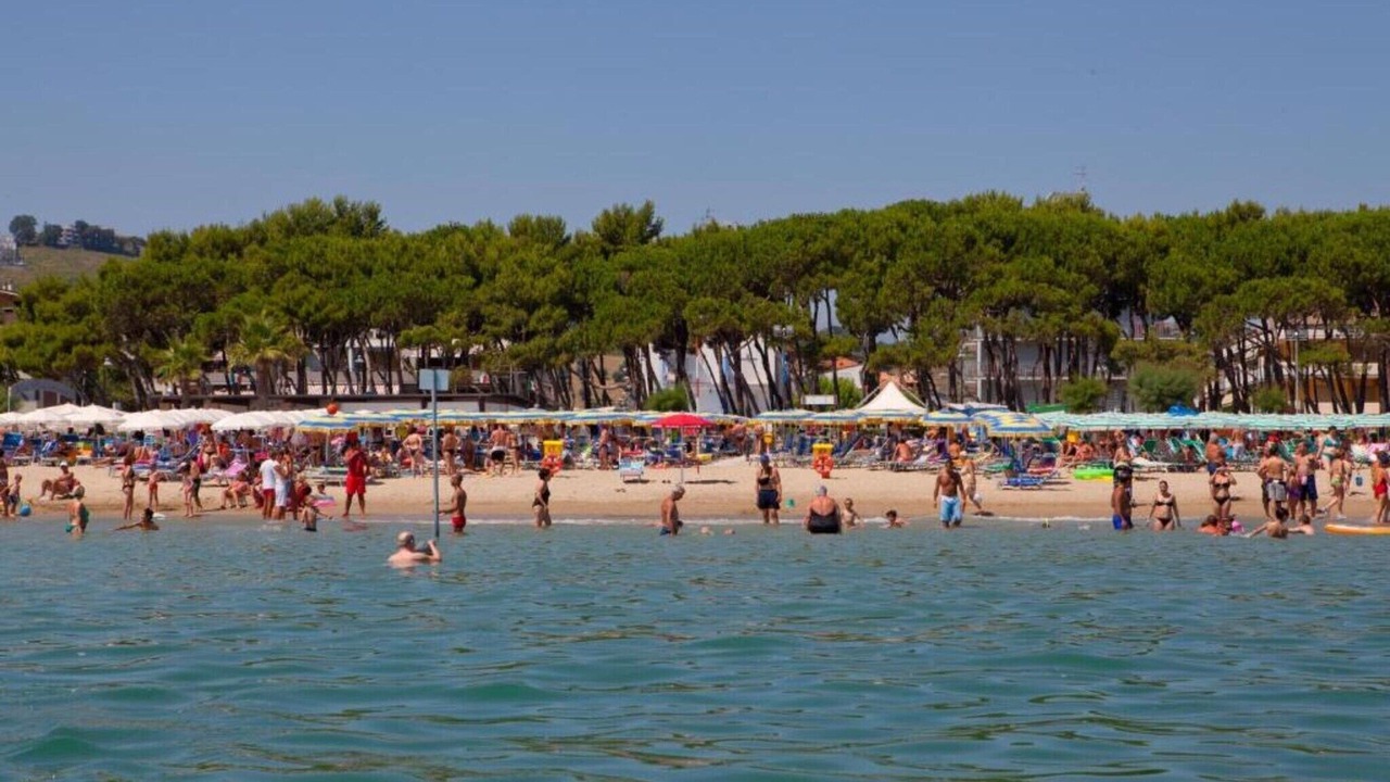 Photo of Others in Alba Adriatica
