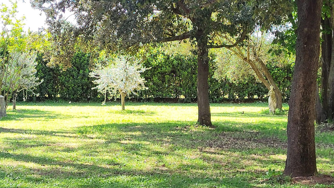 Photo of Outdoor in Grosseto