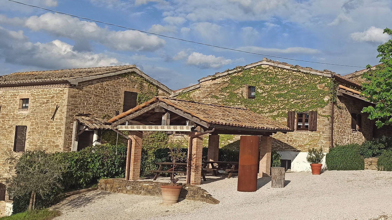Photo of Outdoor in Pergola