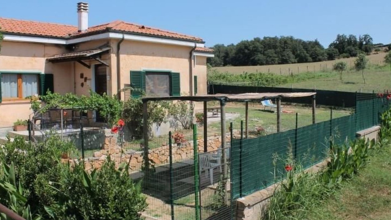 Photo of Others in Montorsaio