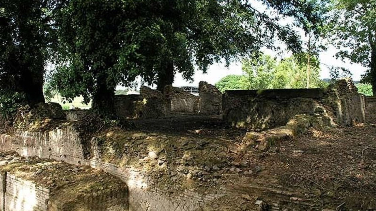 Photo of Others in Montorsaio