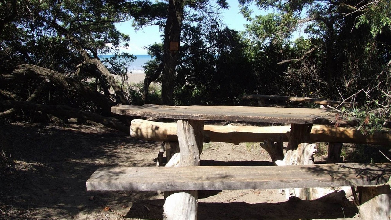 Photo of Others in Val Canina