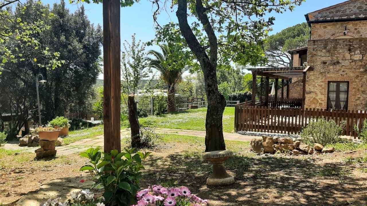 Photo of Others in Monterotondo Marittimo