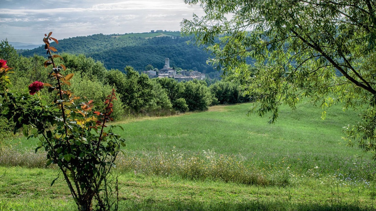 Photo of Others in San Venanzo