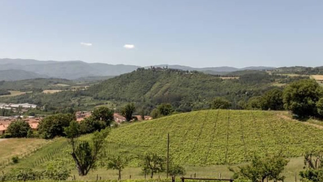 Photo of Others in Pratovecchio