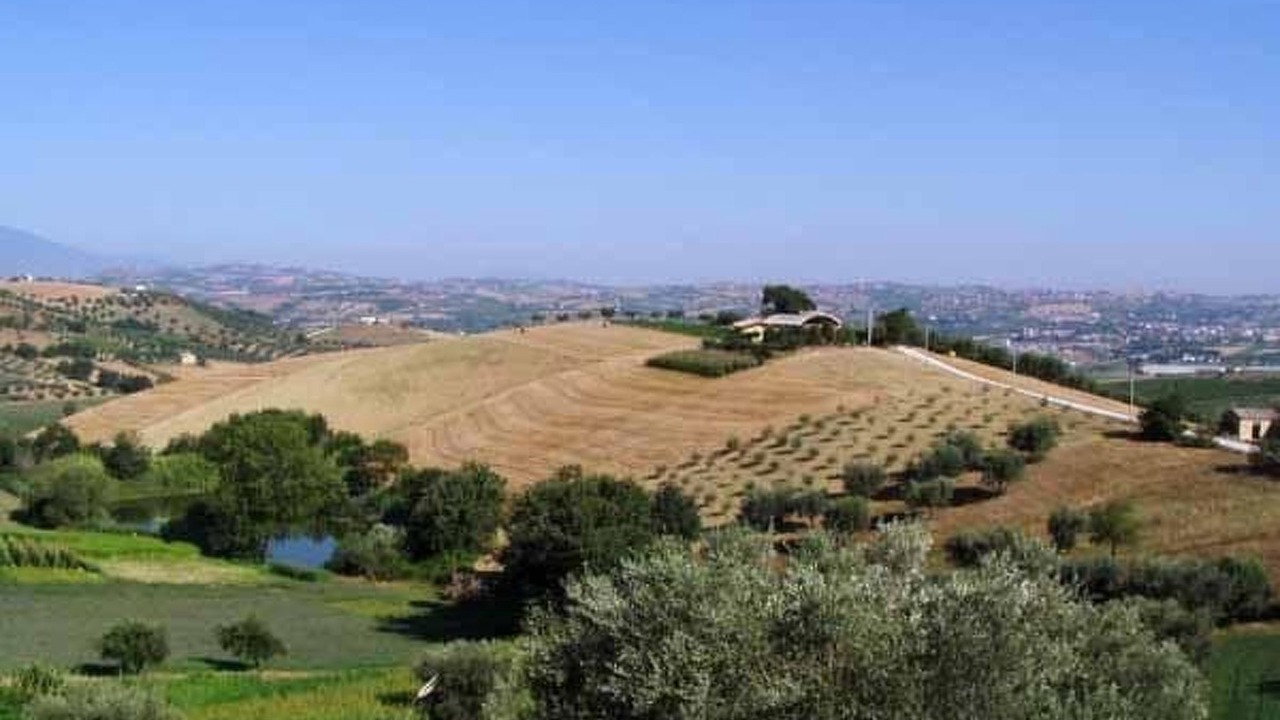 Photo of Others in Notaresco