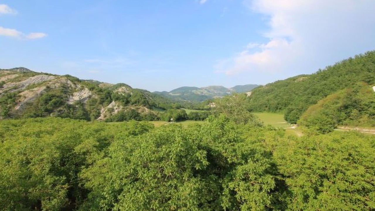 Photo of Others in Apecchio