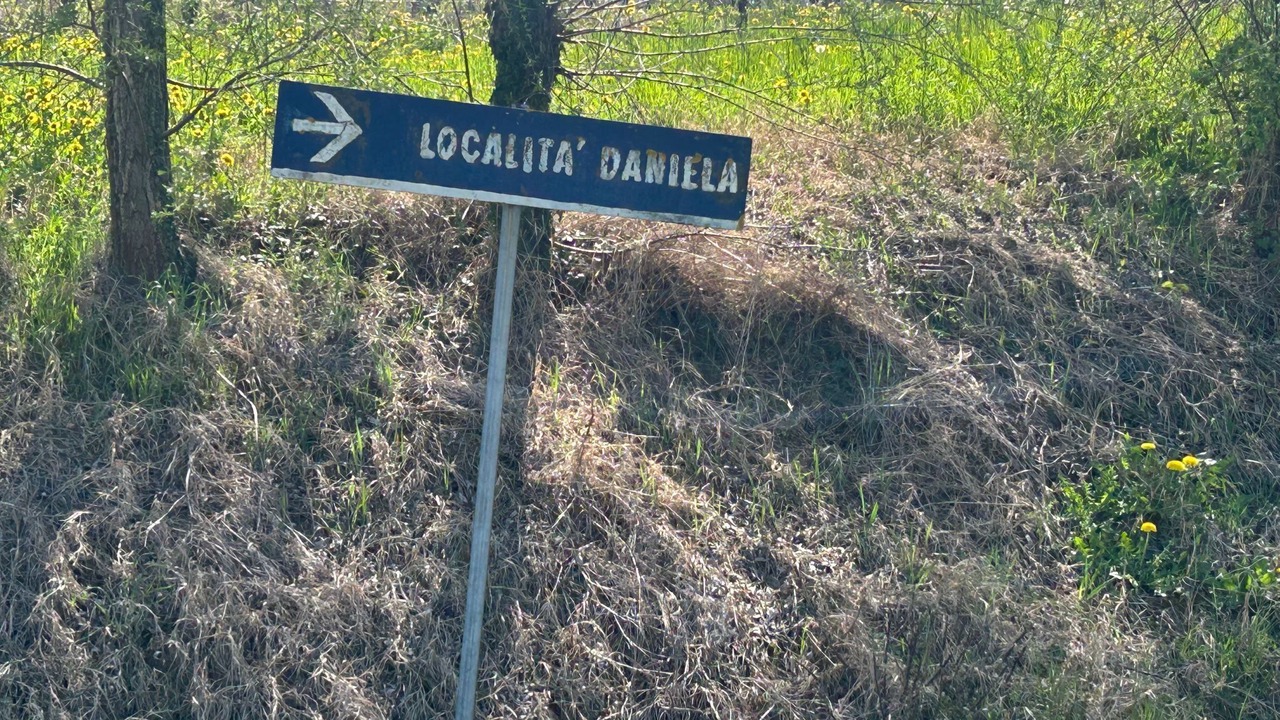 Photo of Others in Dogliani