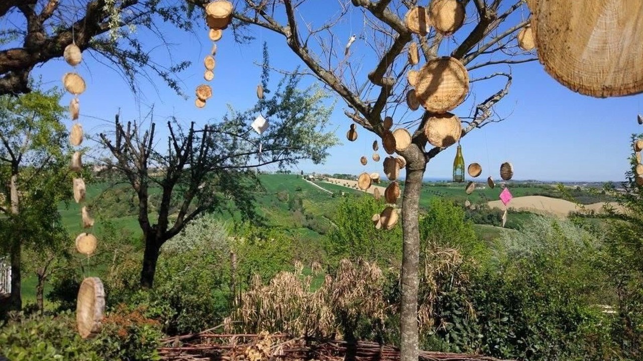 Photo of Others in Borgo della Consolazione