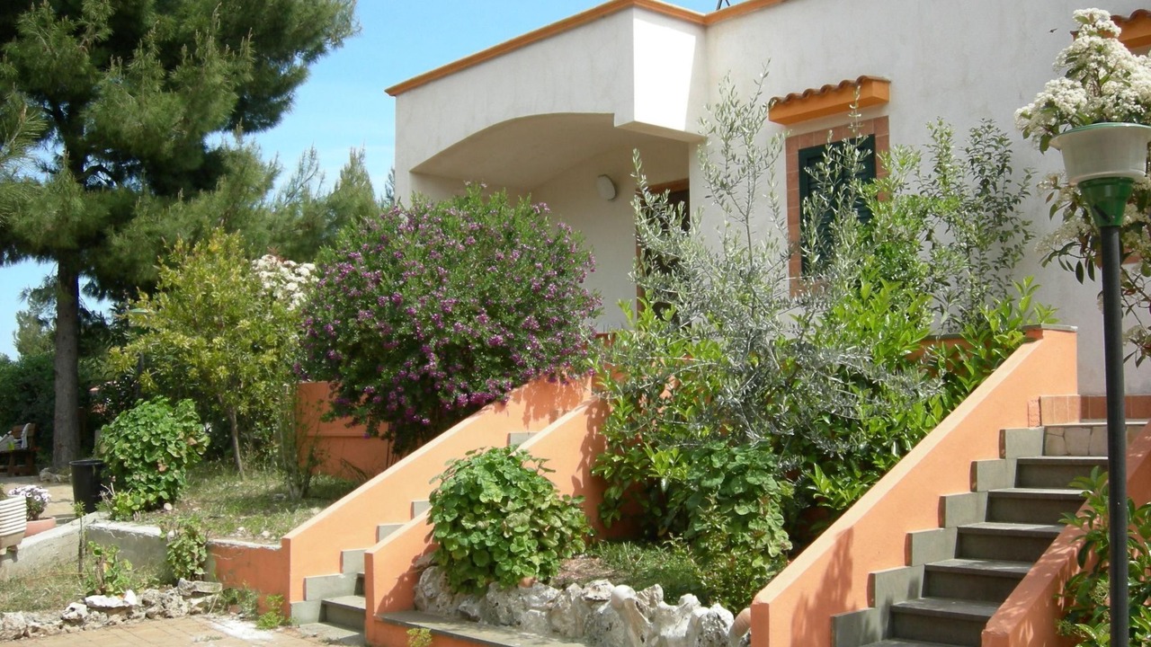 Photo of Others in Defensola