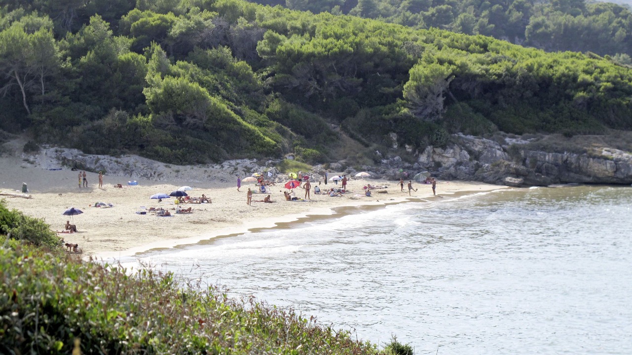 Photo of Others in Defensola
