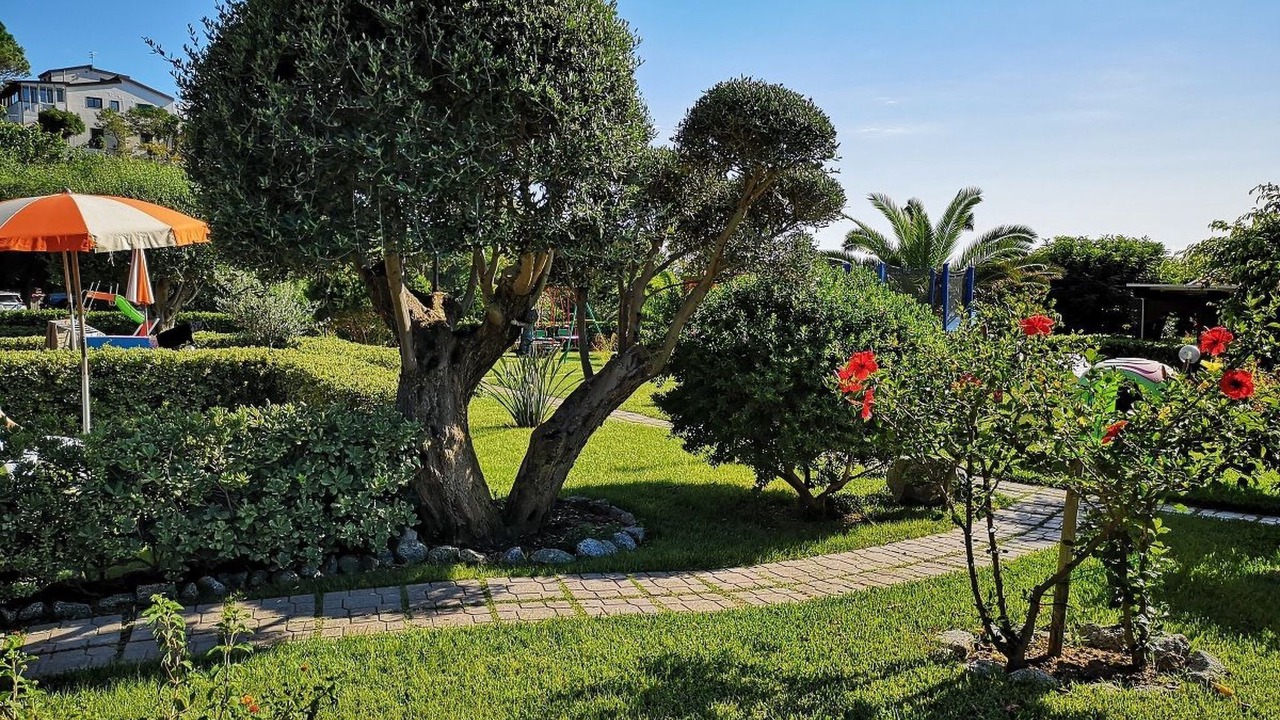 Photo of Outdoor in Santa Maria
