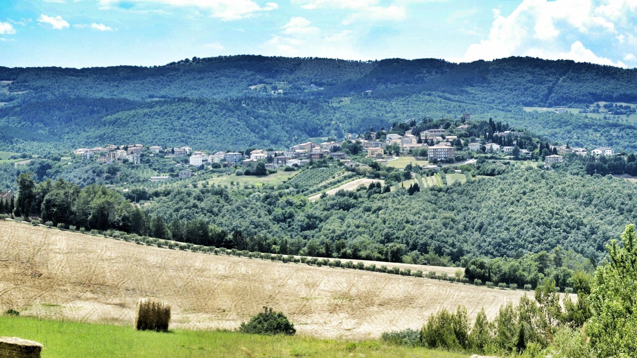 Photo of Others in San Venanzo