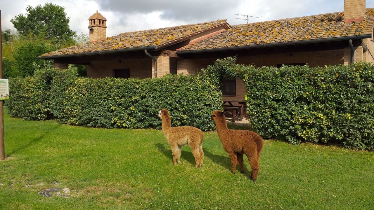Photo of Others in Castiglione del Lago