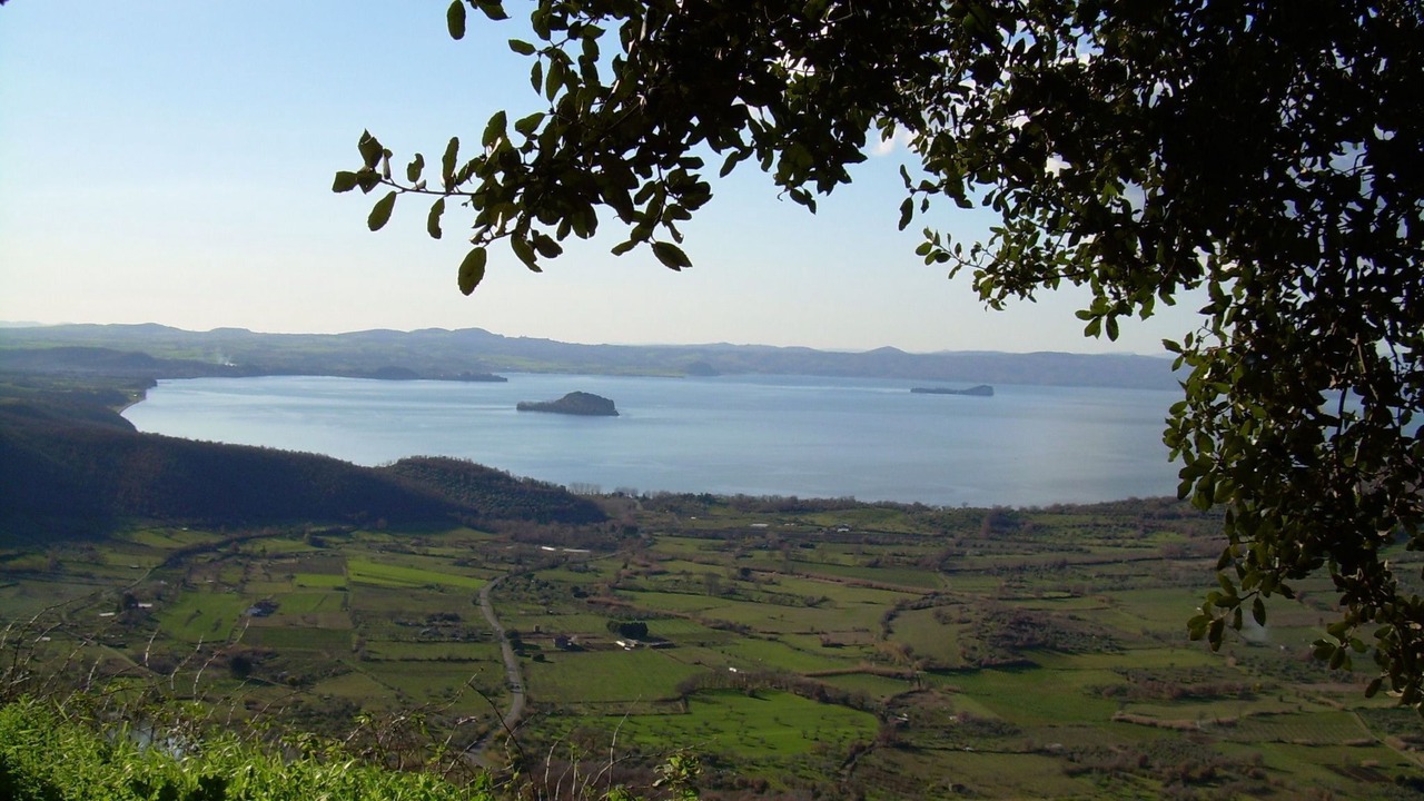 Photo of Others in Montefiascone