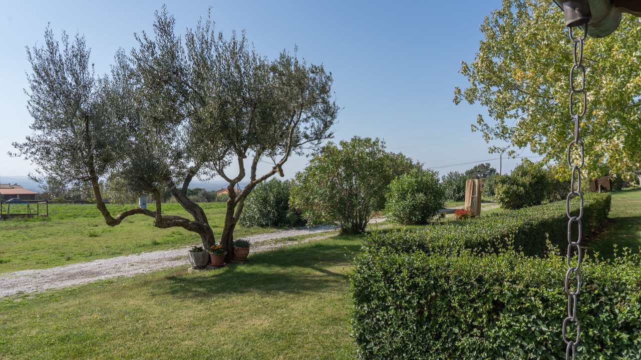 Photo of Outdoor in Montefiascone
