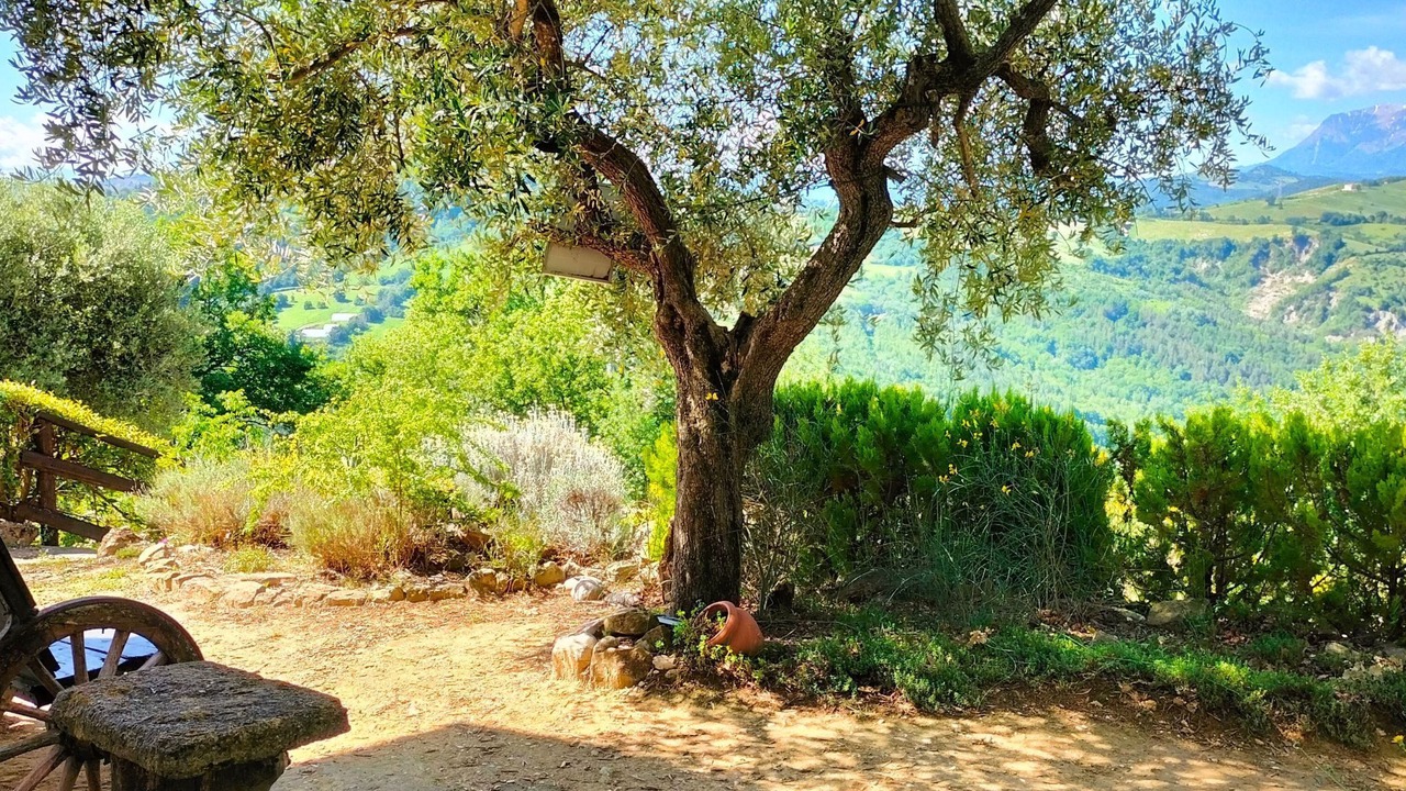 Photo of Others in Penna San Giovanni