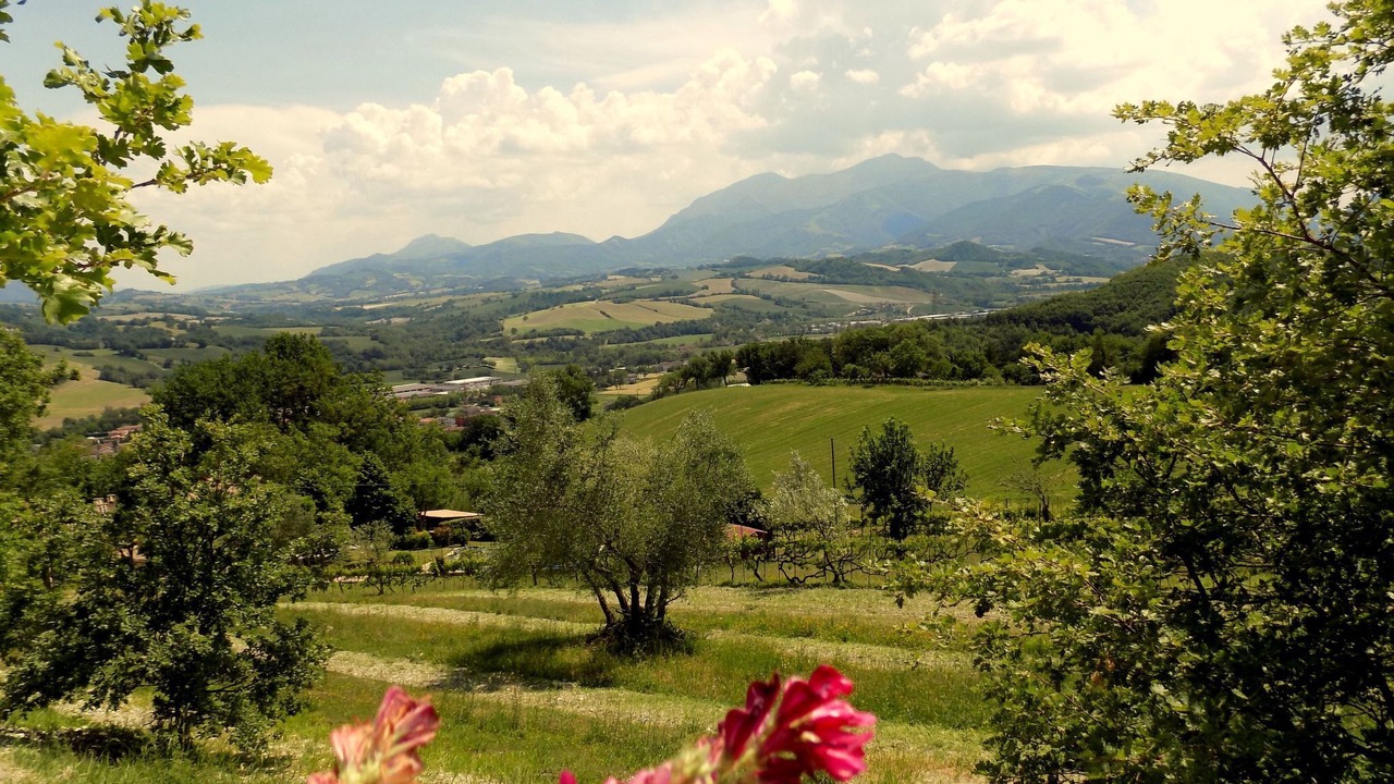 Photo of Others in Cagli
