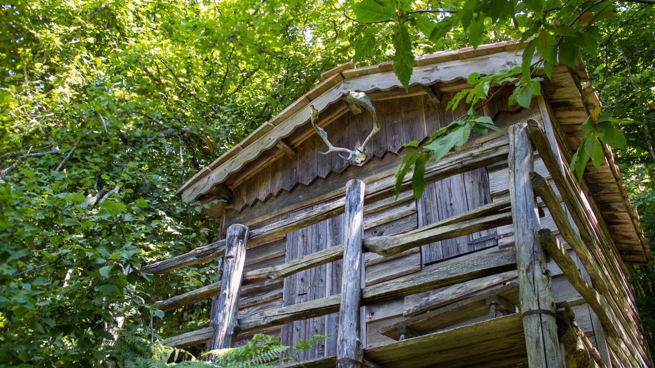 Photo of Outdoor in Sansepolcro