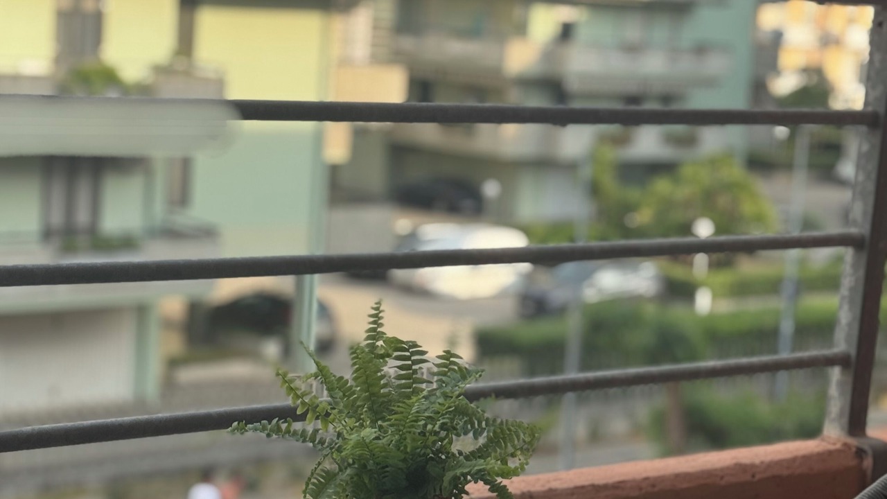 Photo of Outdoor in Montesilvano