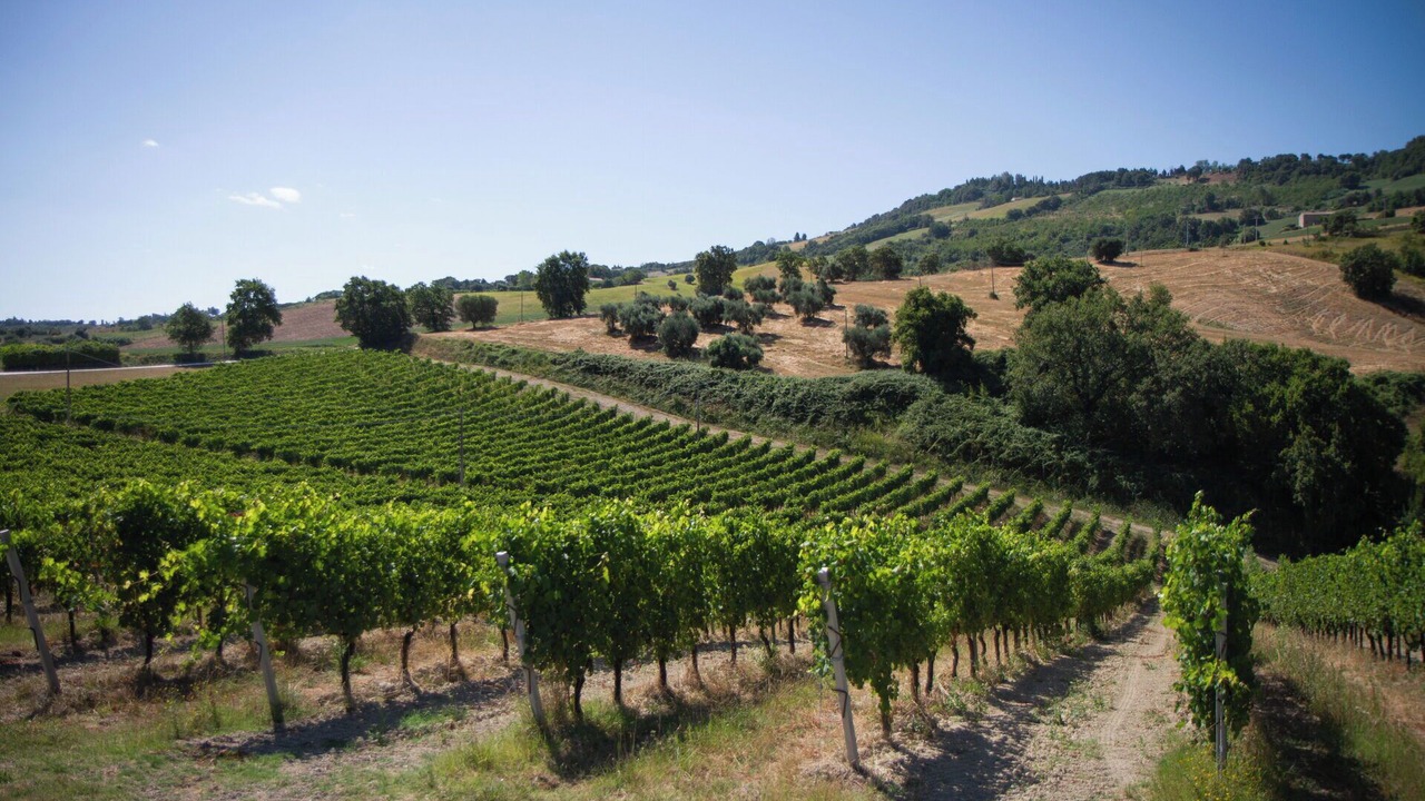Photo of Outdoor in Cupramontana